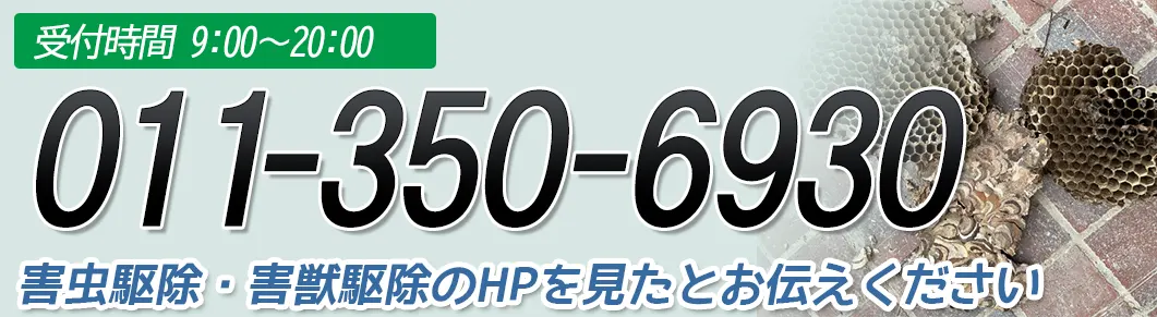 害虫駆除ドットコムへ問い合わせる